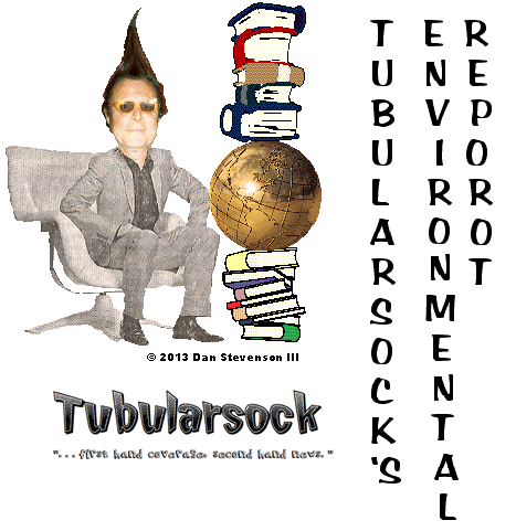 tube envirerment report