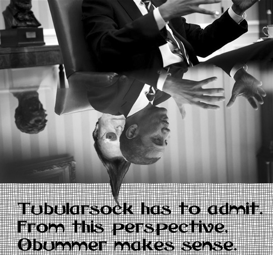 Tube Obummer perspective